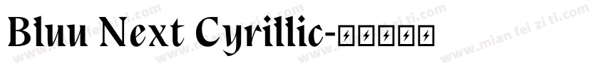 Bluu Next Cyrillic字体转换